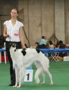 barinya-2008-09-26-1-b