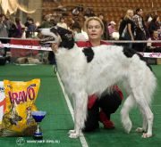 barinya-2010-01-30-2