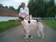 barynya-2009-08-22-1