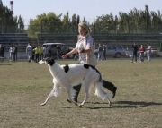 barynya-2009-09-19-1