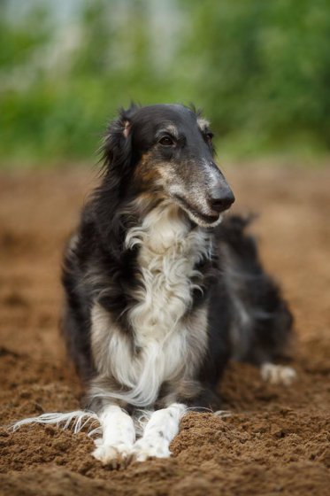 country house life 2016