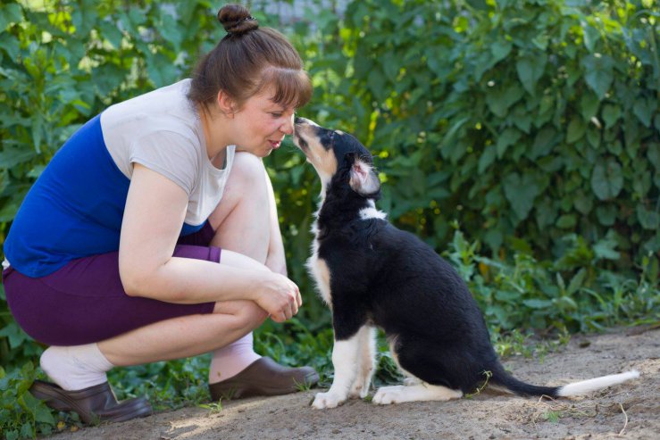 country house life 2016