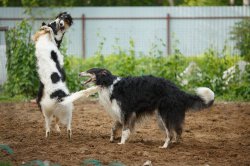 country house life 2016