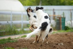 country house life 2016