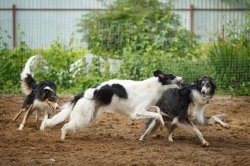 country house life 2016