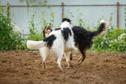 country house life 2016