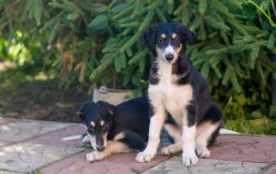 country house life 2016