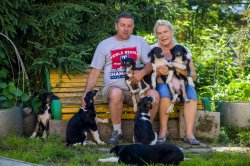 country house life 2016