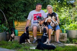 country house life 2016