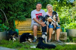 country house life 2016