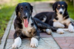 country house life 2016