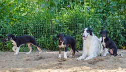 country house life 2016