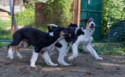 country house life 2016