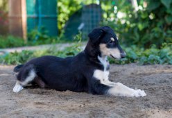 country house life 2016