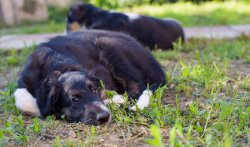 country house life 2016