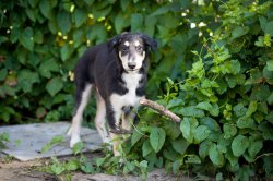 country house life 2016