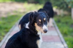 country house life 2016