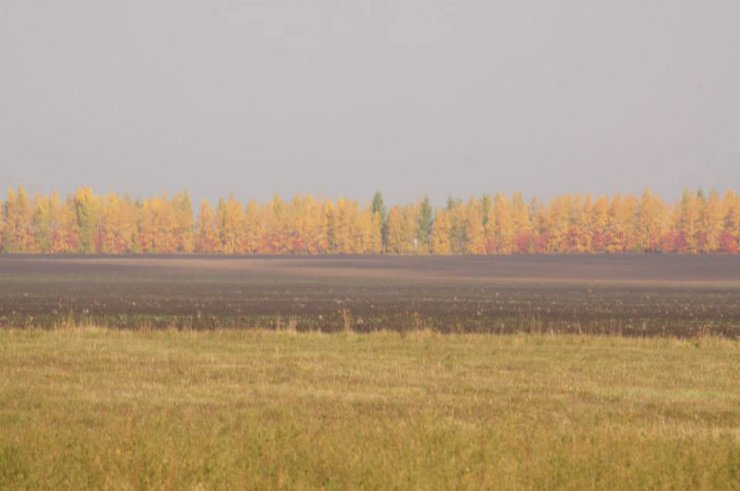 Hunting in Chuvashia, September 2014