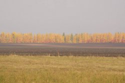 Hunting in Chuvashia, September 2014