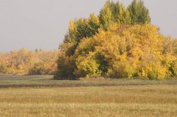 Hunting in Chuvashia, September 2014