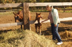 Hunting in Chuvashia, September 2014
