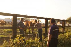 Hunting in Chuvashia, September 2014