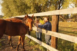 Hunting in Chuvashia, September 2014