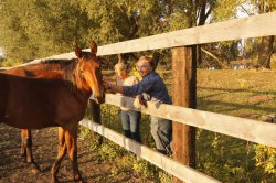 Hunting in Chuvashia, September 2014