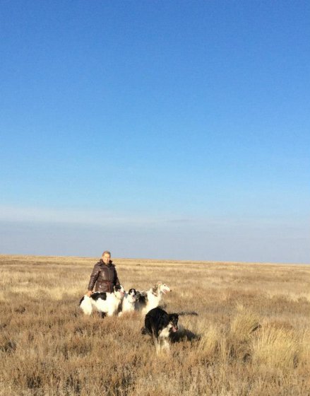 Hunting in the Volga steppes, November 2014