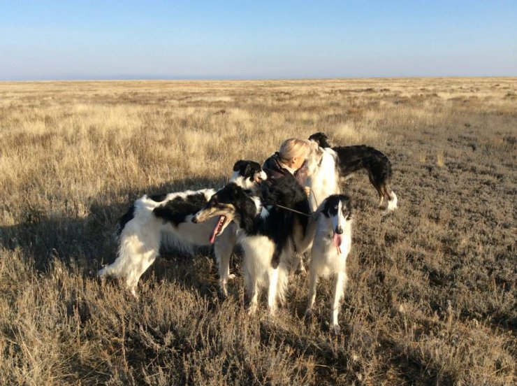 Hunting in the Volga steppes, November 2014