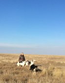 Hunting in the Volga steppes, November 2014