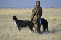 Hunting in the Volga steppes, November 2014