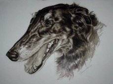 Ragneda\'s portrait painted by Mostjaeva Nadja  - Ragneda\'s portrait painted by Mostjaeva Nadja&nbsp;