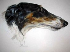 Zadira\'s portrait painted by Mostjaeva Nadja  - Zadira\'s portrait painted by Mostjaeva Nadja&nbsp;