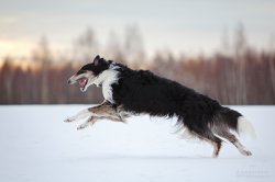 Field trip by A. Vetkovskaya, 2016