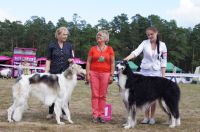 zagar-metelitza_volshebnij_viking-2012-07-07-1